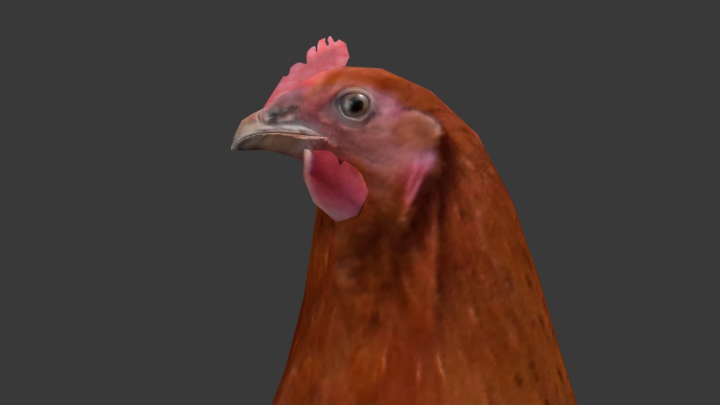 Chicken preview image 3
